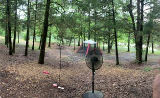 Steve G.'s photo at Tishomingo State Park Campground near Belden, MS