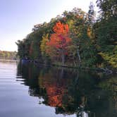 Review photo of Bayfield County Twin Bear Campground by Cathy J., October 18, 2020