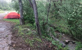Dave V.'s photo at Riffle Run Campground — Burnsville Lake Wildlife Management Area near French Creek, WV