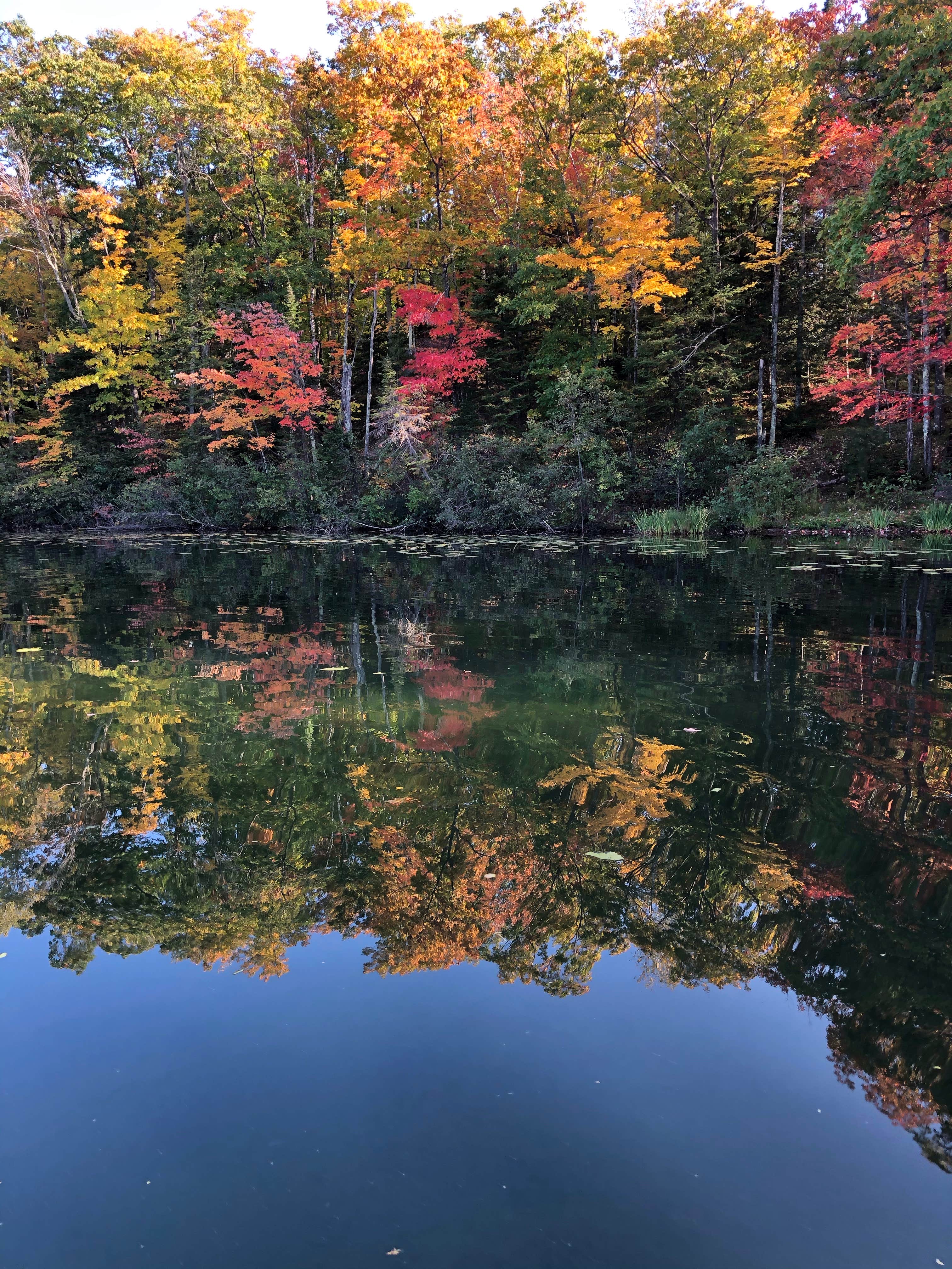 Camper submitted image from Bayfield County Twin Bear Campground - 1