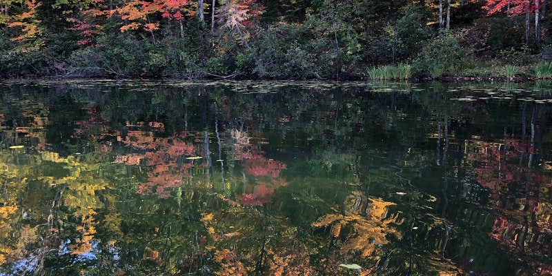 Camper submitted image from Bayfield County Twin Bear Campground