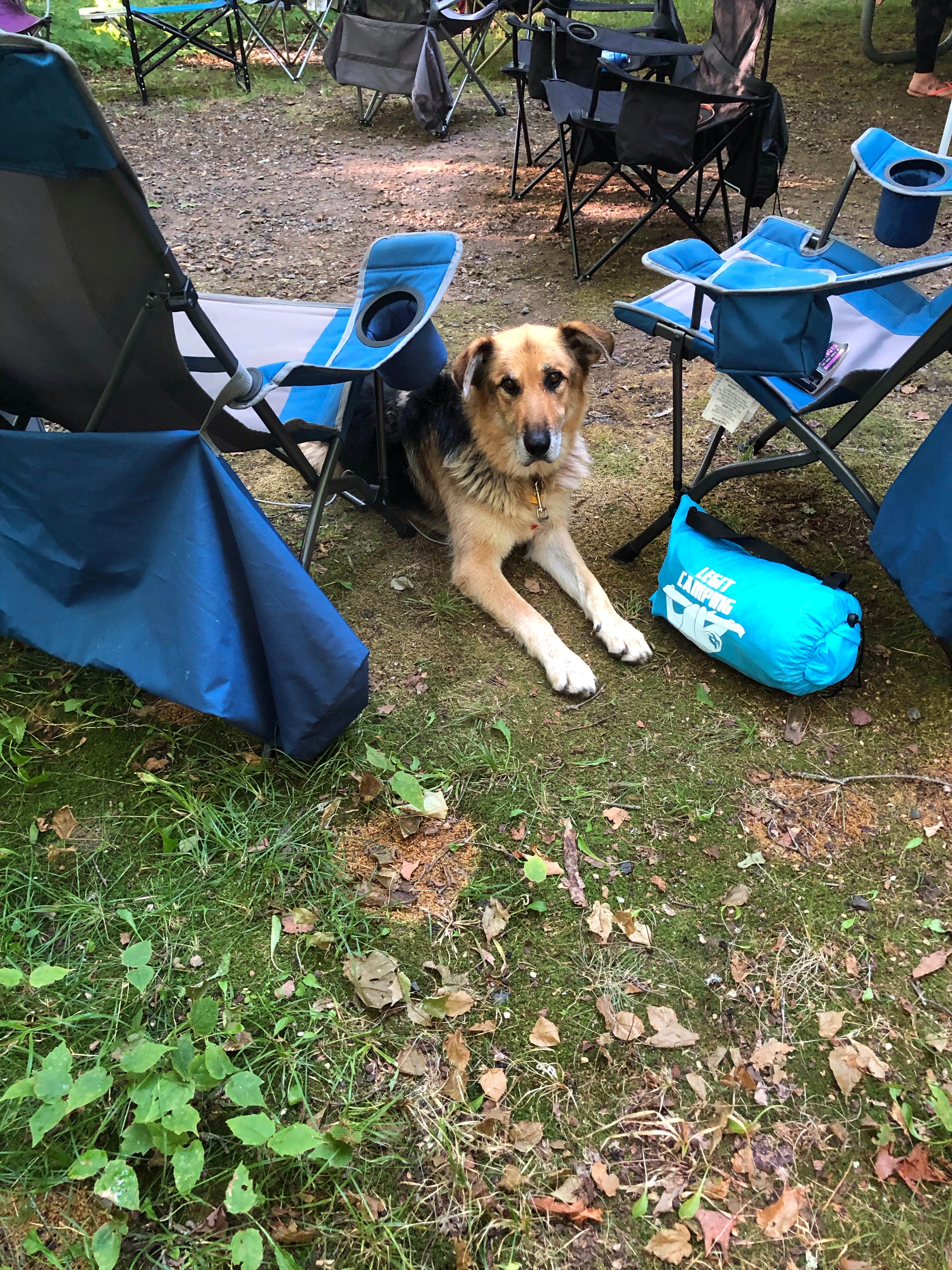Cathy J.'s photo at Namekagon Lake Campground near Upson, WI