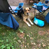 Review photo of Namekagon Lake Campground by Cathy J., October 18, 2020
