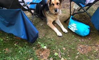 Cathy J.'s photo at Namekagon Lake Campground near Ashland, WI