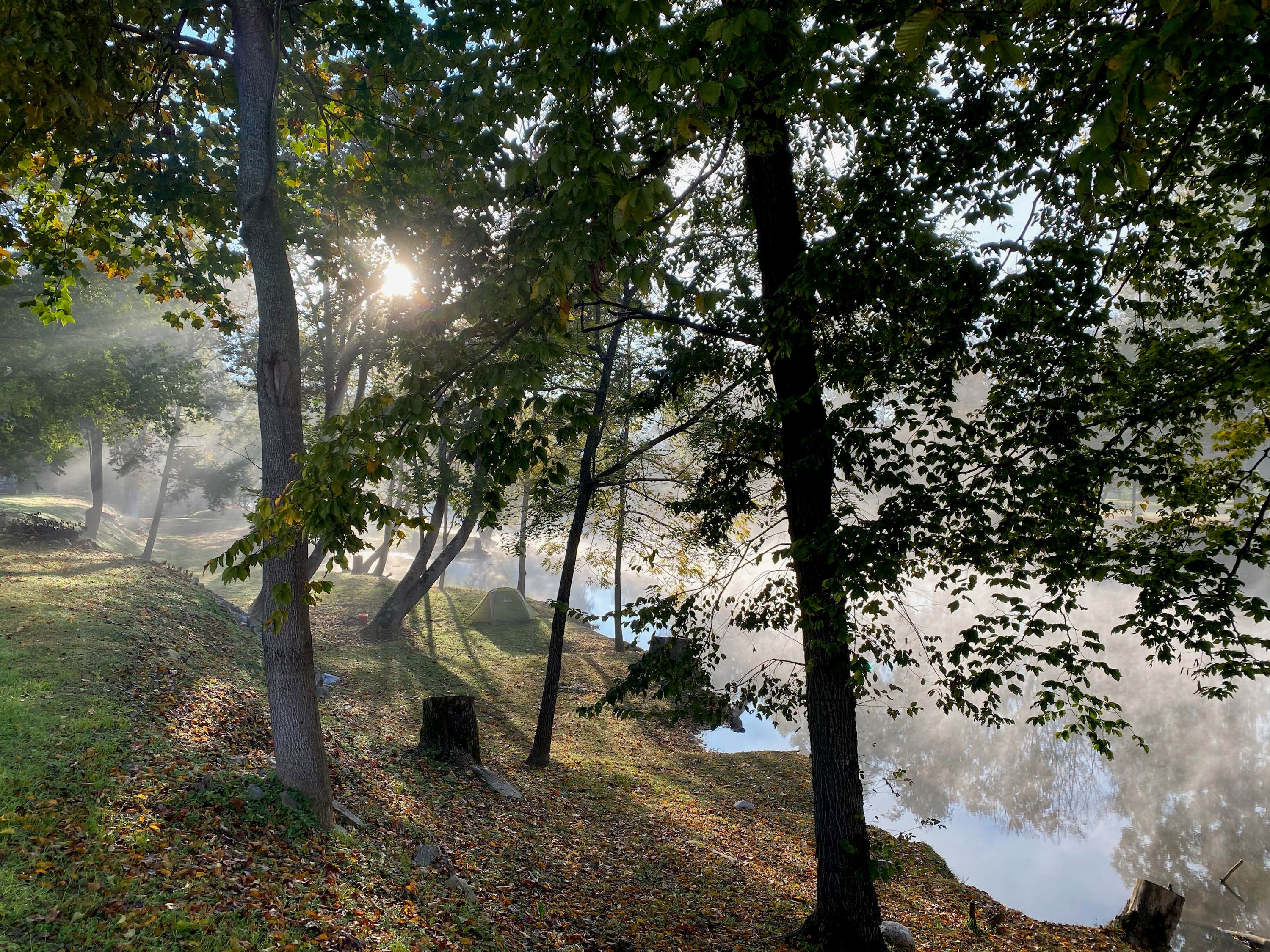 Camper submitted image from Primitive Camping on Little River - 2