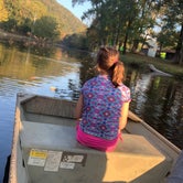 Review photo of Primitive Camping on Little River by Chris H., October 18, 2020