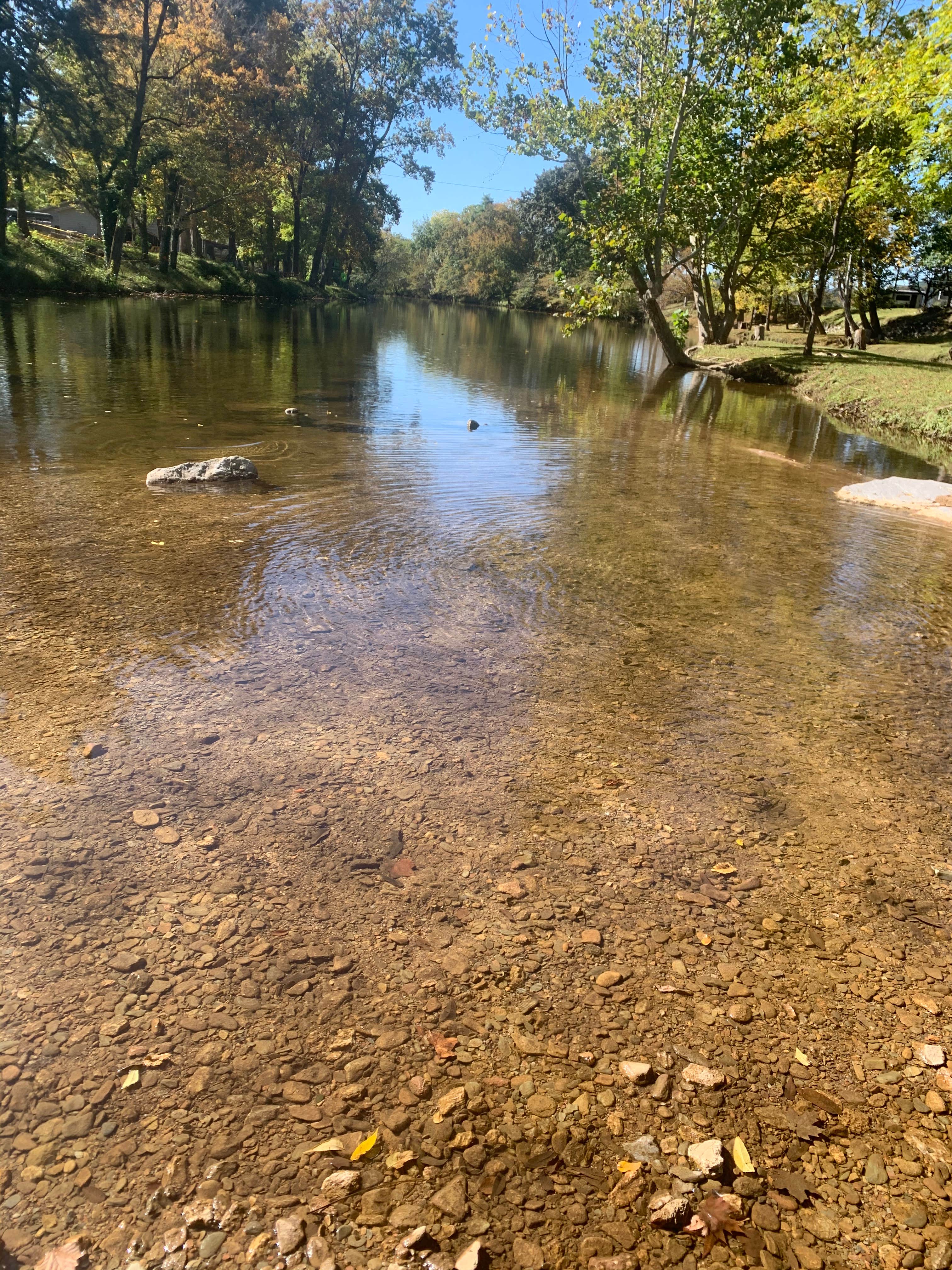 Camper submitted image from Primitive Camping on Little River - 3