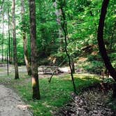 Review photo of Paintsville Lake State Park Campground by Carrie J., July 9, 2016