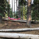 Review photo of Mazama Village Campground — Crater Lake National Park by Stephanie V., October 19, 2020