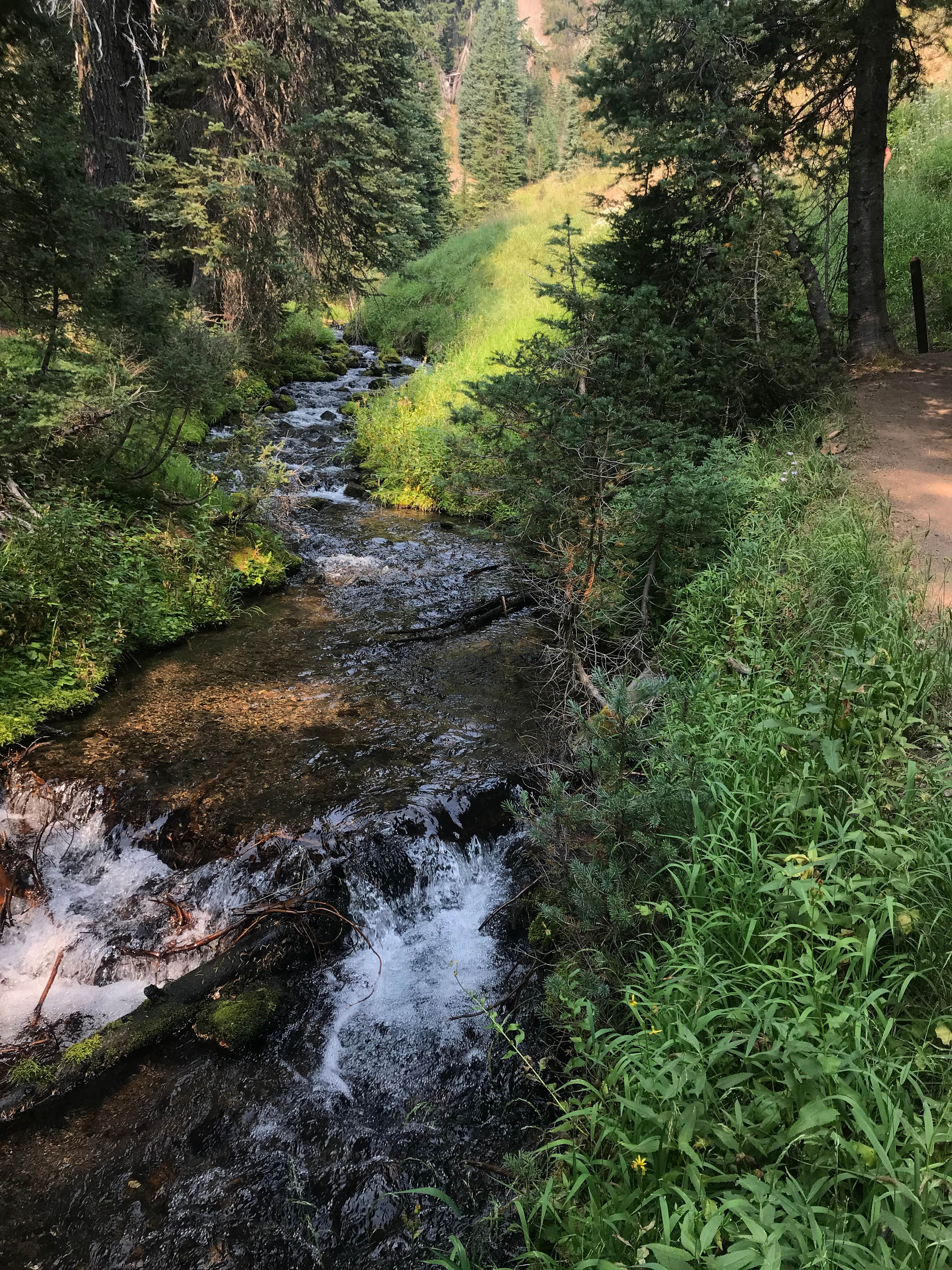 Annie Creek Canyon Trail - the bottom of the valley