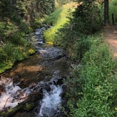 Review photo of Mazama Village Campground — Crater Lake National Park by Stephanie V., October 19, 2020