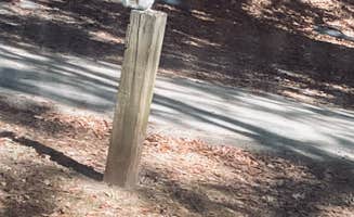 Elizabeth G.'s photo of camping with pets at Twin Lakes at Lake Hartwell near Pendleton, SC