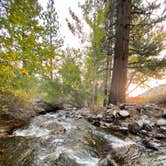 Review photo of Upper Sage Flat Campground by Tracy A., October 19, 2020