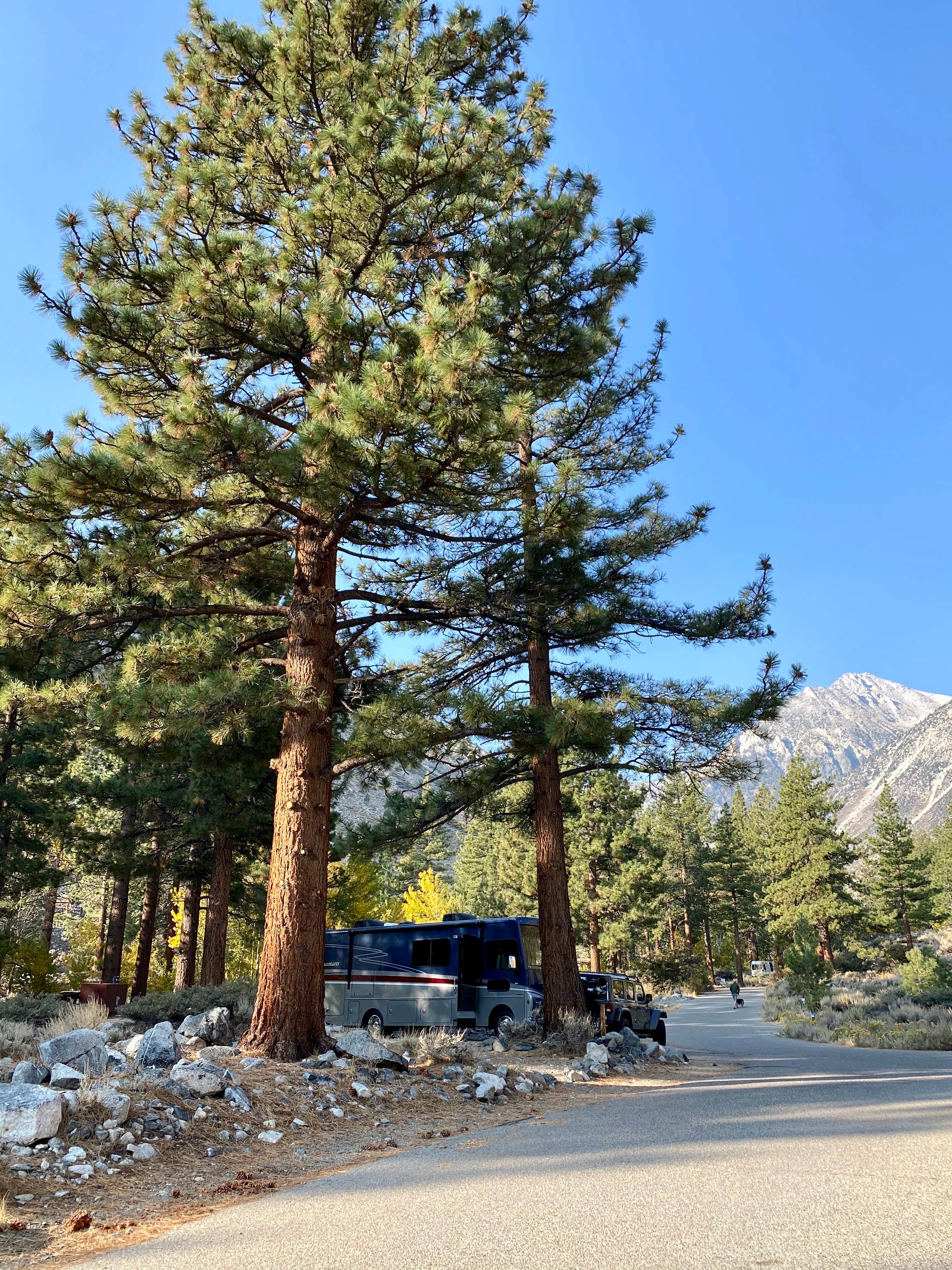 Camper submitted image from Upper Sage Flat Campground - 2