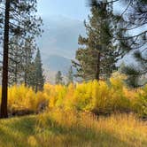 Review photo of Upper Sage Flat Campground by Tracy A., October 19, 2020