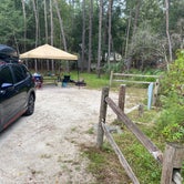 Review photo of Wekiwa Springs State Park Campground by Monte W., October 19, 2020