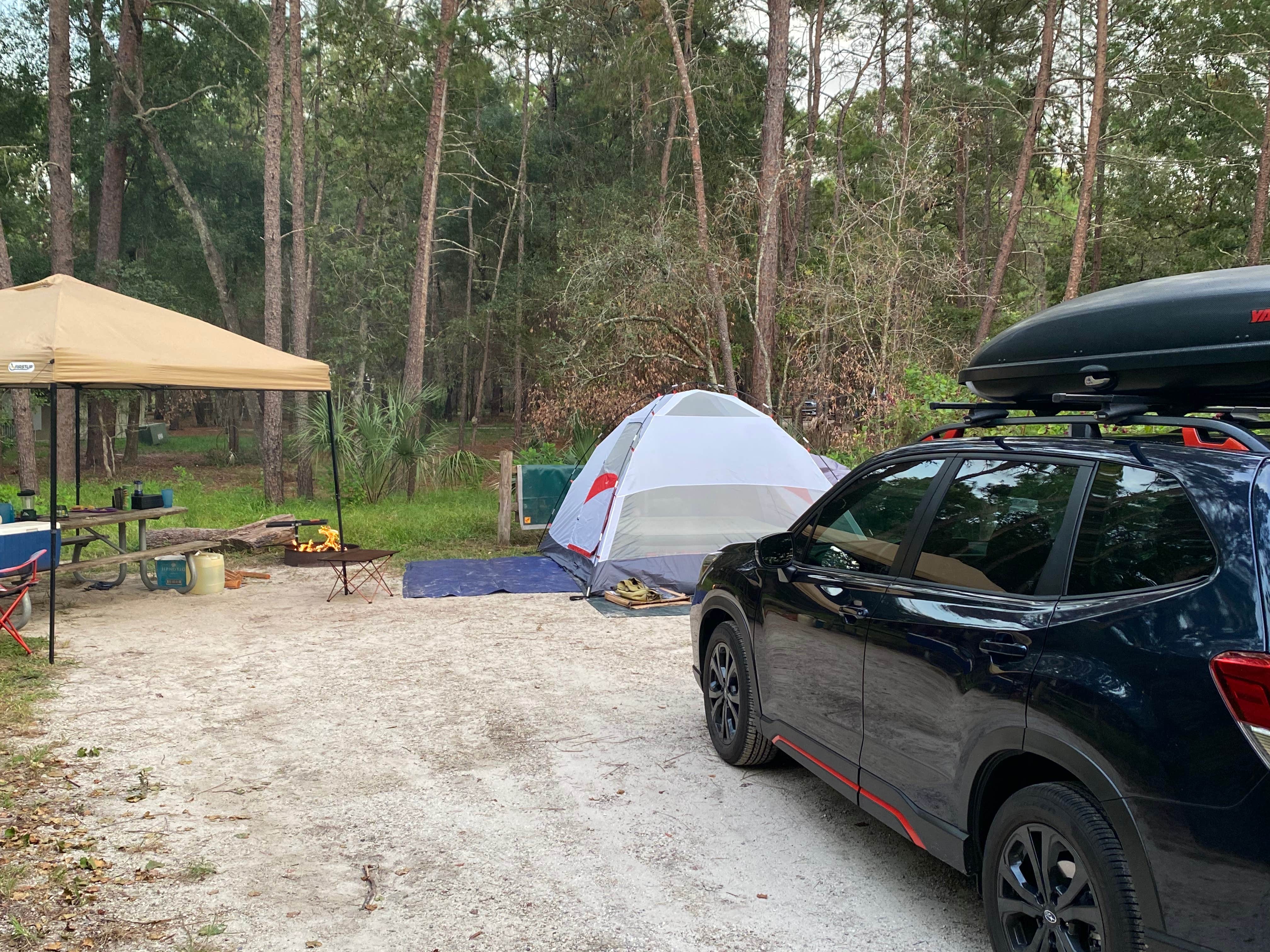 Monte W.'s photo at Wekiwa Springs State Park Campground near Clarcona, FL