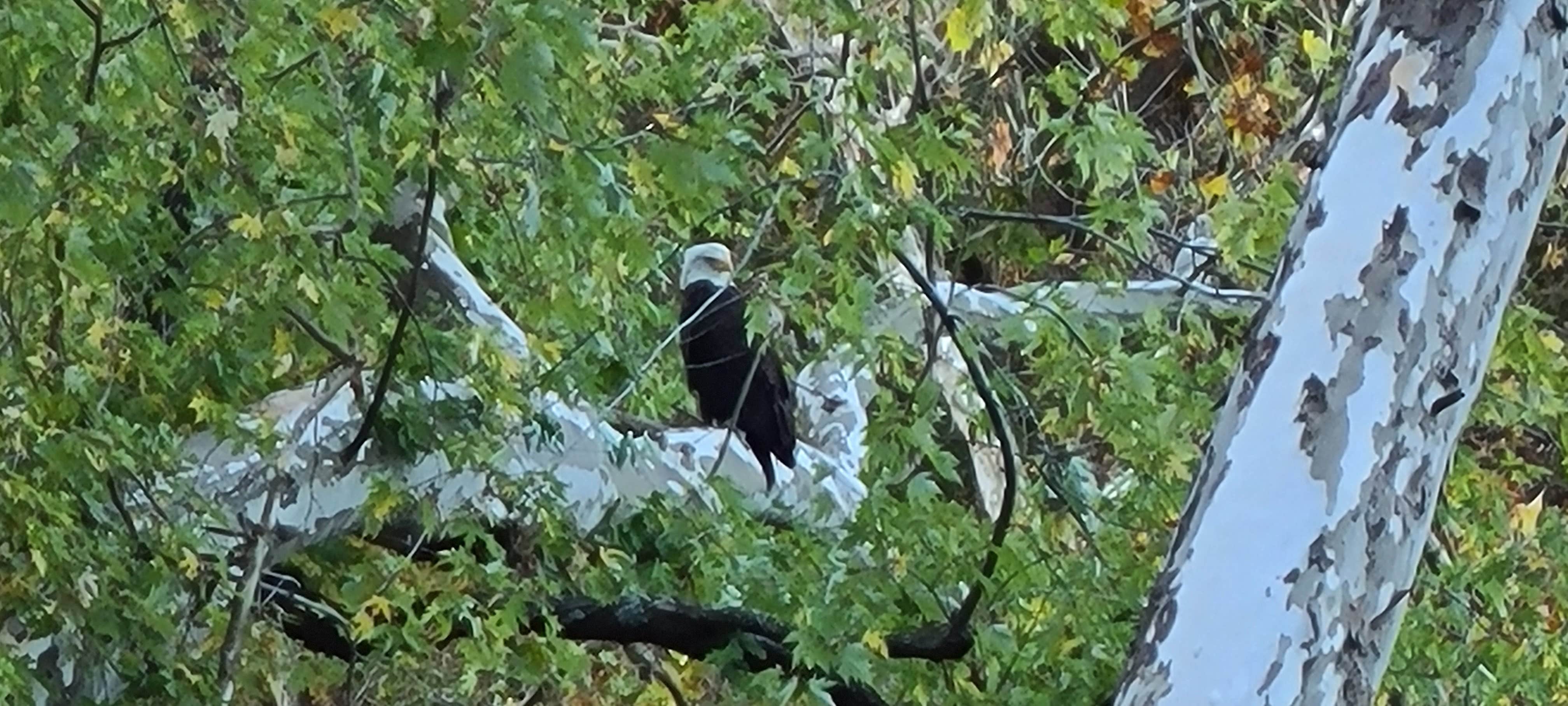 Camper-submitted photo at Outlet Park near Pittsburg, MO