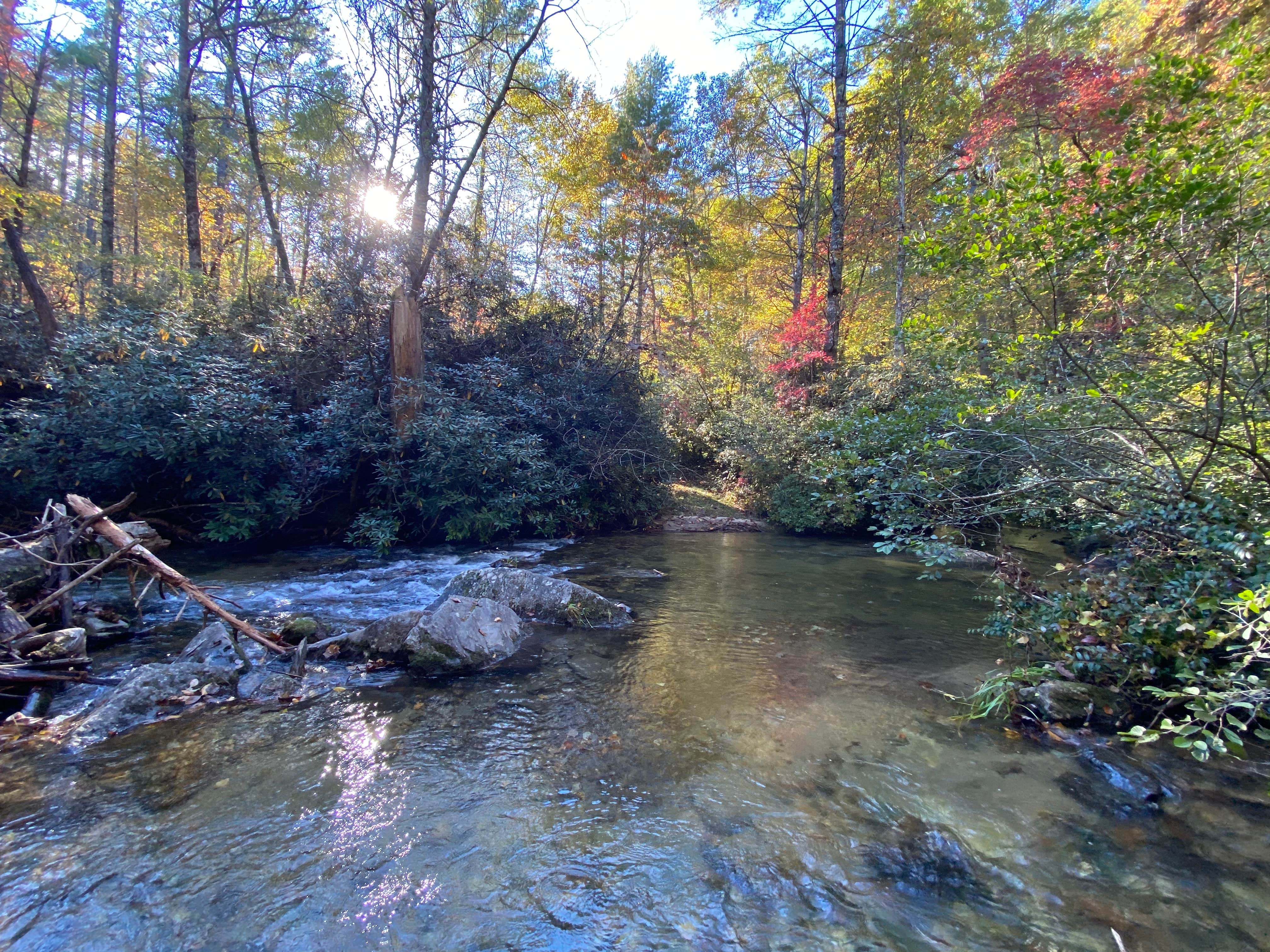 Camper-submitted photo at Blue Valley Camp near Long Creek, SC