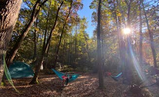 Kristin S.'s photo at Blue Valley Camp near Sky Valley, GA