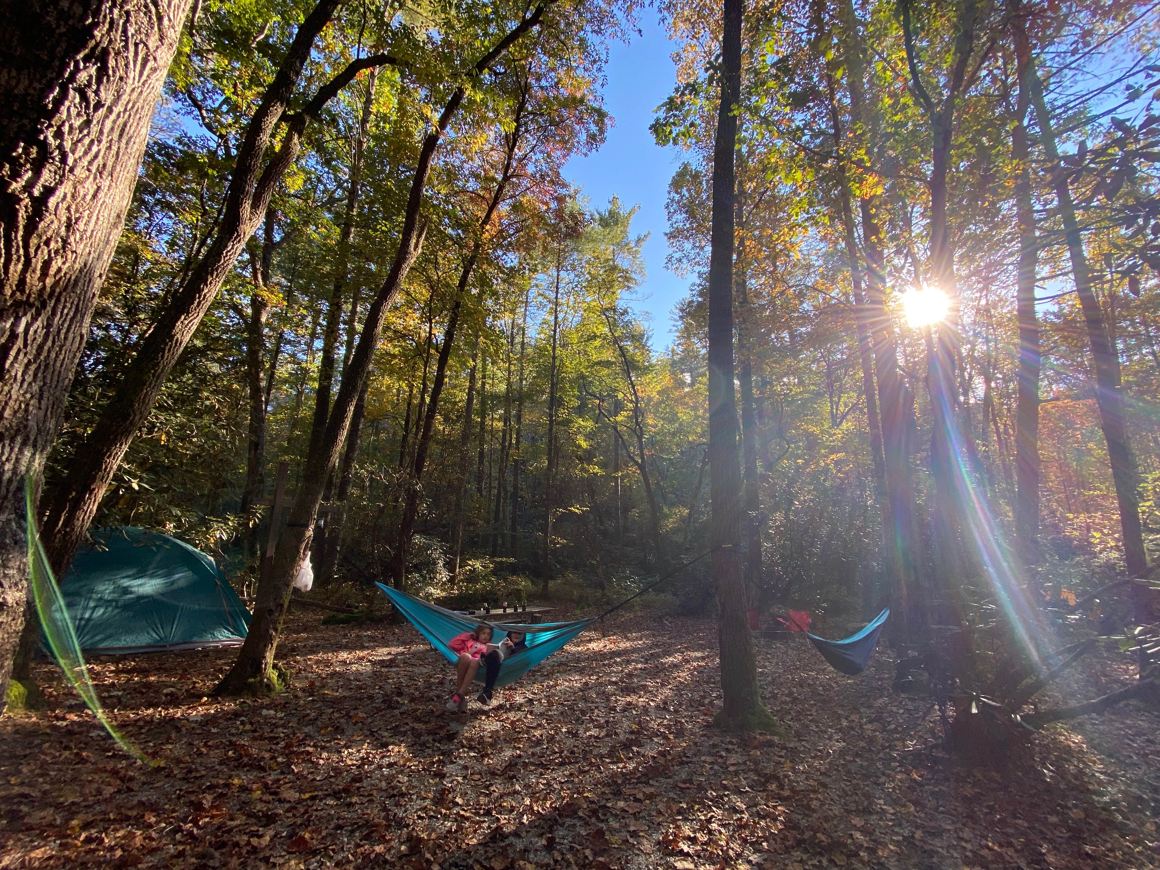 Kristin S.'s photo of a dispersed camping area at Blue Valley Dispersed Camping near Glendale, SC