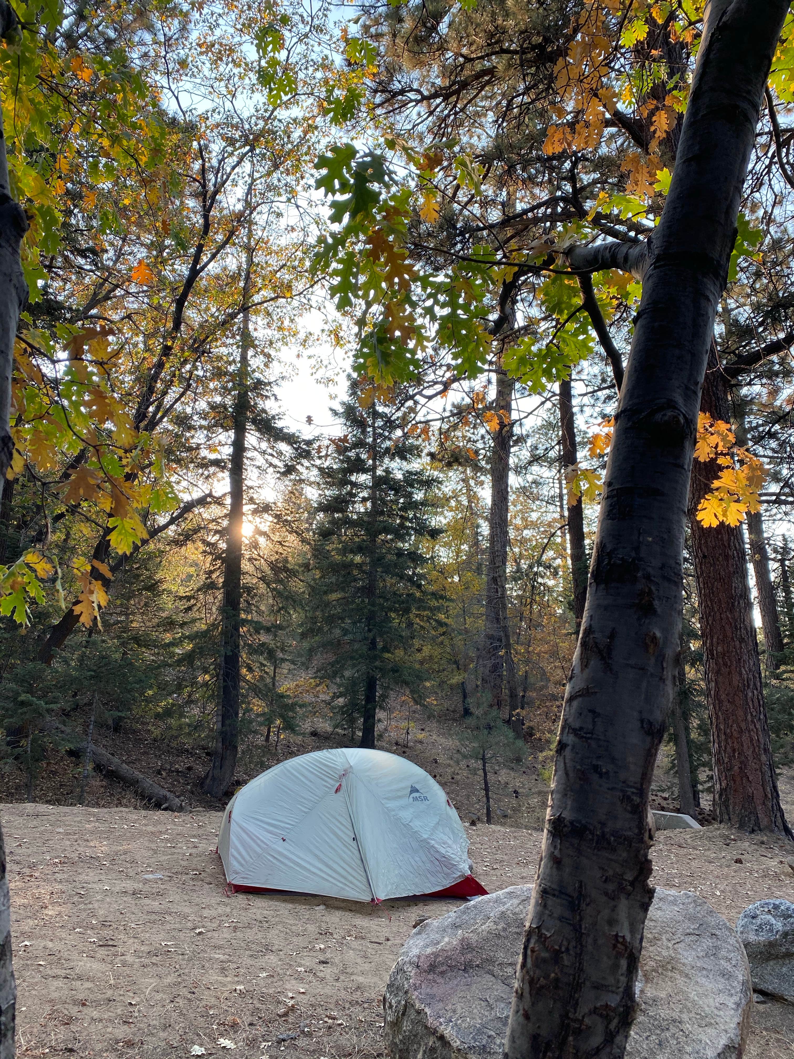Esther Y.'s photo at Pineknot near Lucerne Valley, CA