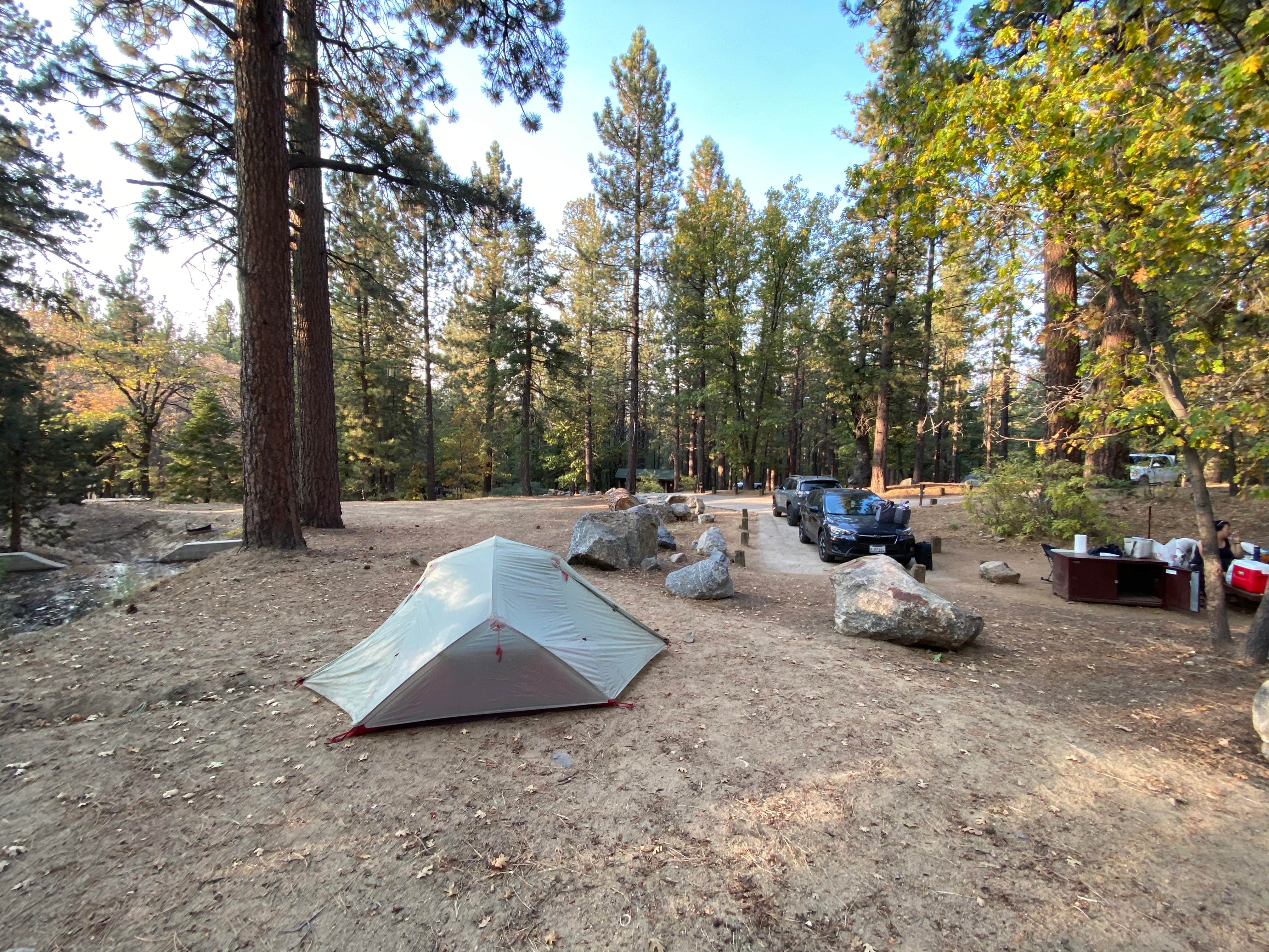 Esther Y.'s photo at Pineknot near Fawnskin, CA