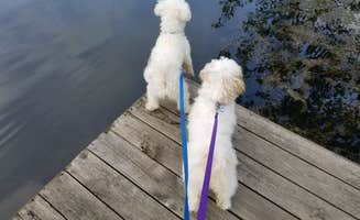 Doyle H.'s photo of camping with pets at Lynnville Park near Saint Croix, IN