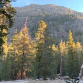 Review photo of Lincoln Creek Dispersed Campground by Alex V., October 19, 2020