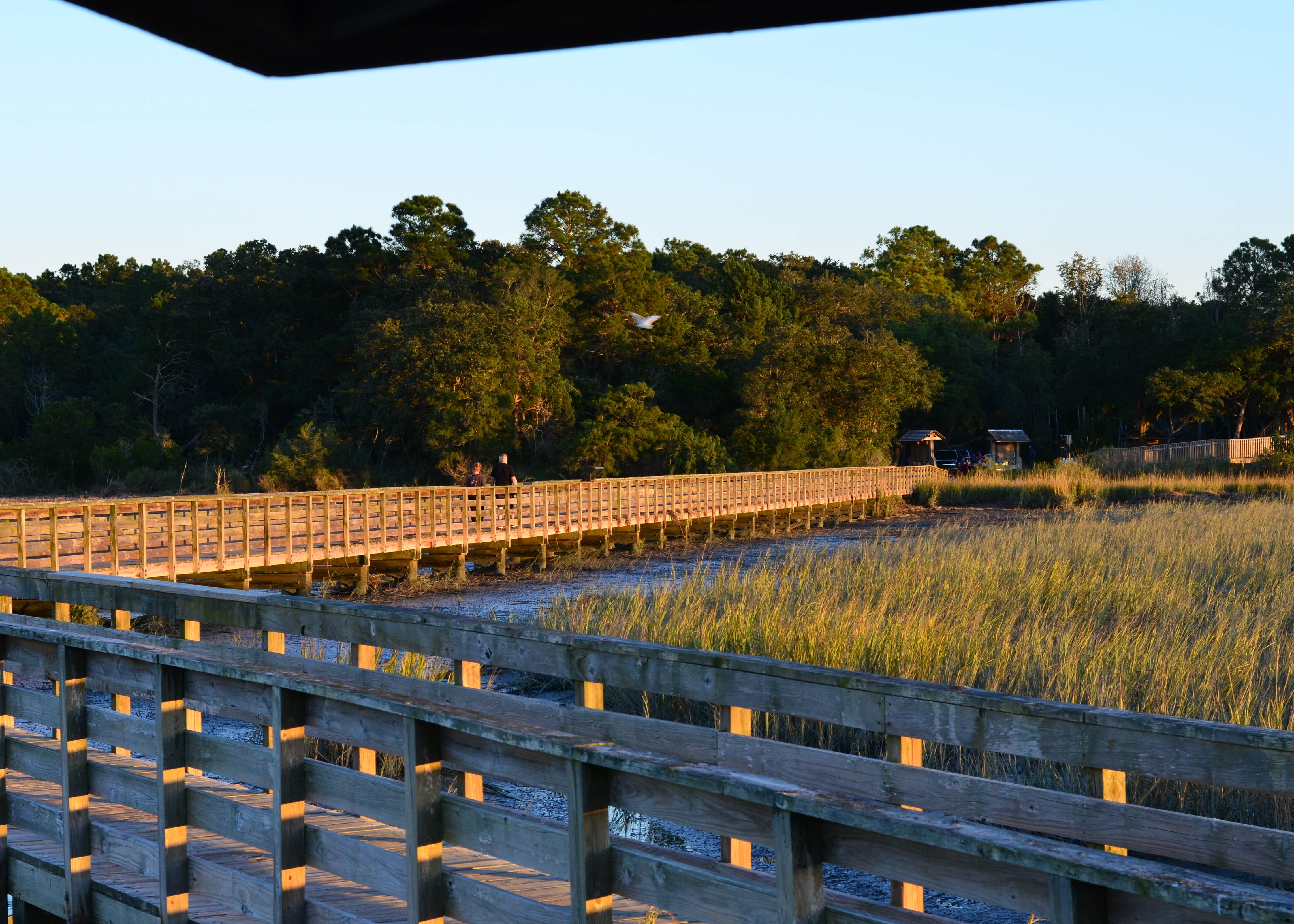Huntington Beach State Park Camping The Dyrt