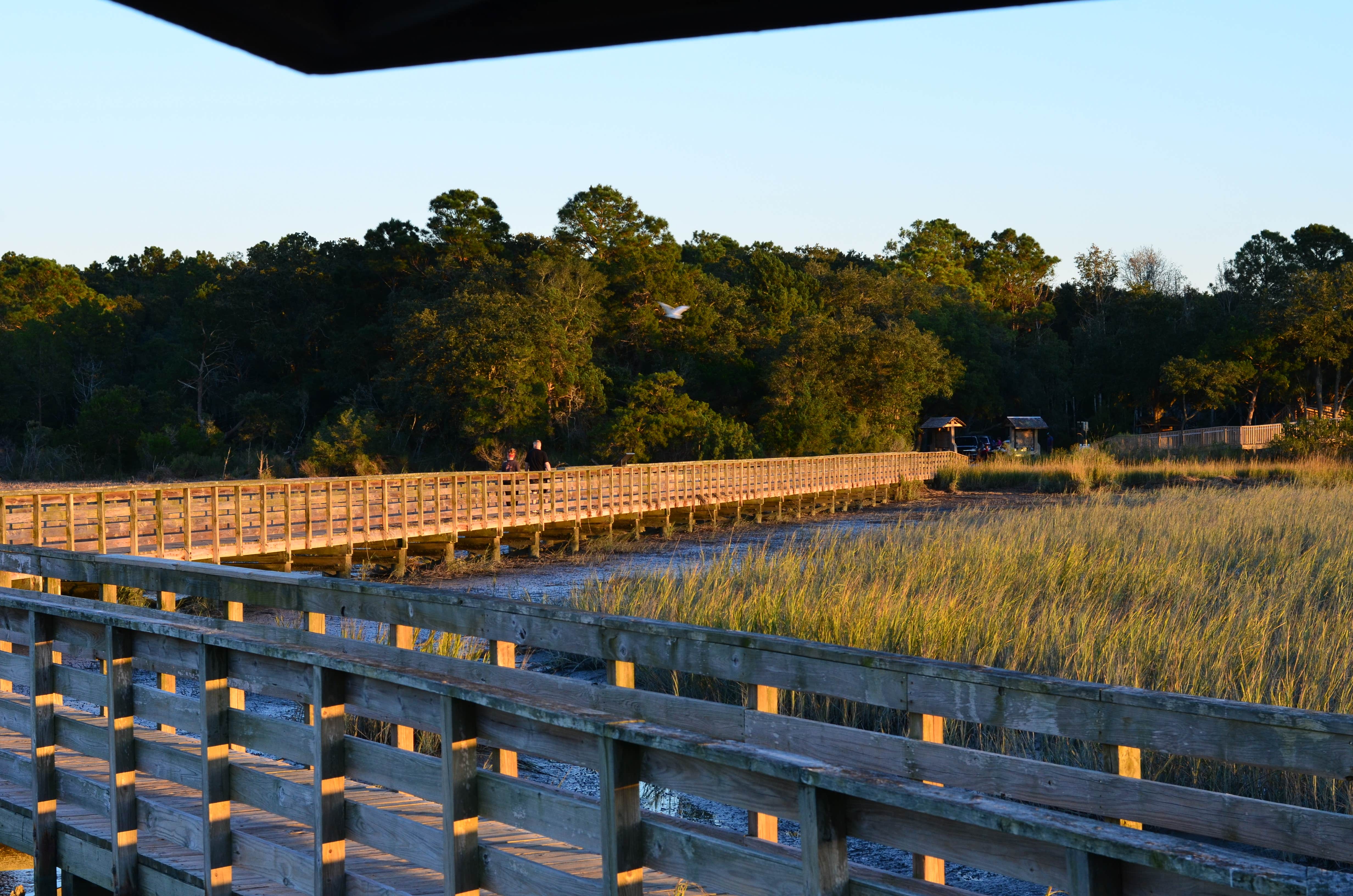 Camper submitted image from Huntington Beach State Park Campground - 1