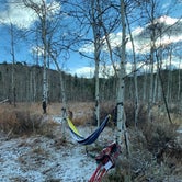 Review photo of Shadow Mountain Dispersed Camping by Taylor M., October 19, 2020