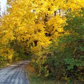 Review photo of Pike Lake Campground — Kettle Moraine State Forest-Pike Lake Unit by Sugar Maple S., October 19, 2020