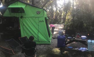 Danilo M.'s photo at Oscar Scherer State Park Campground near Placida, FL
