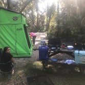 Review photo of Oscar Scherer State Park Campground by Danilo M., October 19, 2020