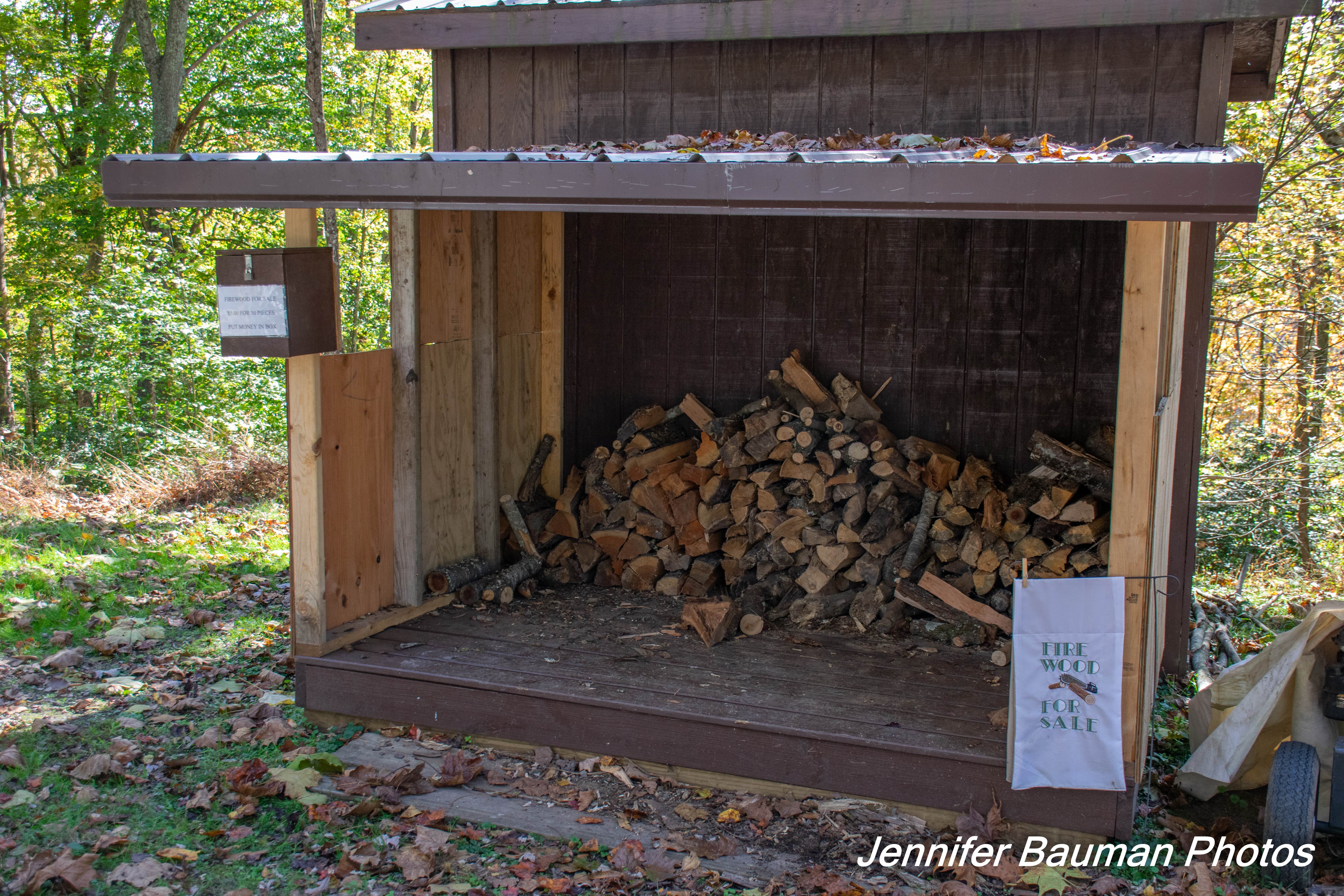 Camper-submitted photo at Bulltown Camp — Burnsville Lake Wildlife Management Area near Walkersville, WV