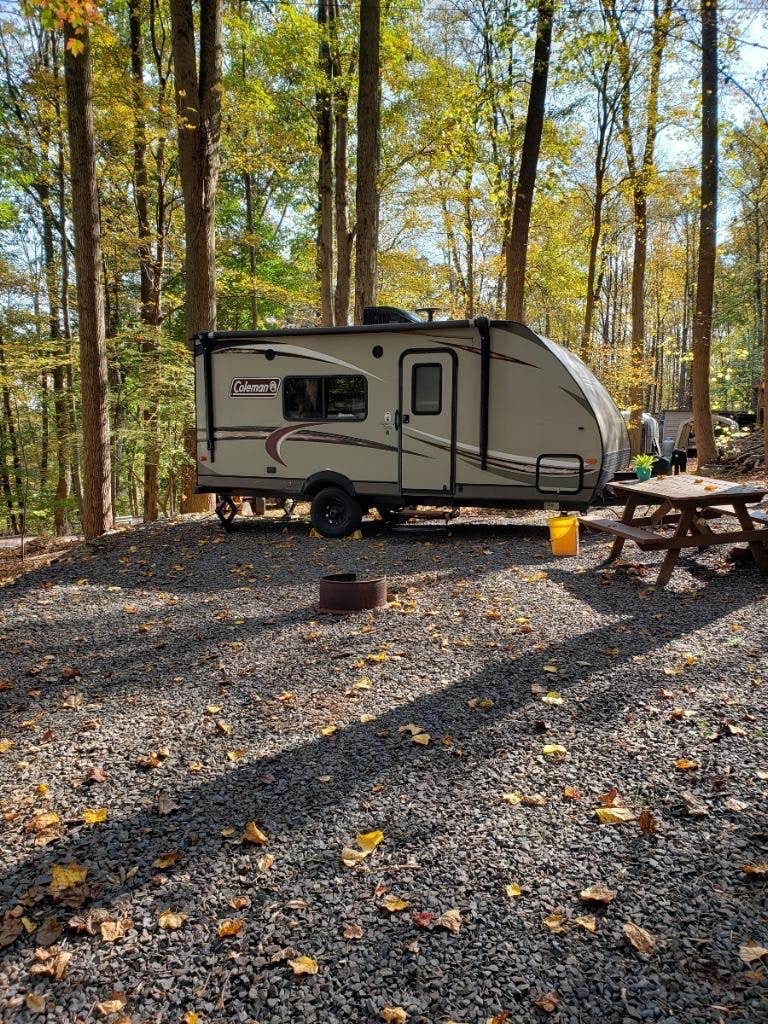 Dogwood Haven Family Campground, LLC | Upper Black Eddy, PA