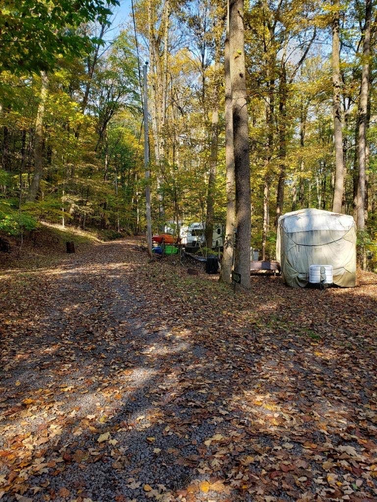 Camper submitted image from Dogwood Haven Family Campground, LLC - 2