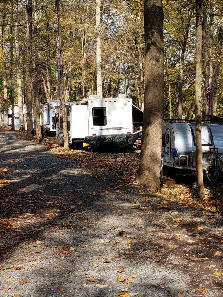 Camper submitted image from Dogwood Haven Family Campground,  LLC - 1