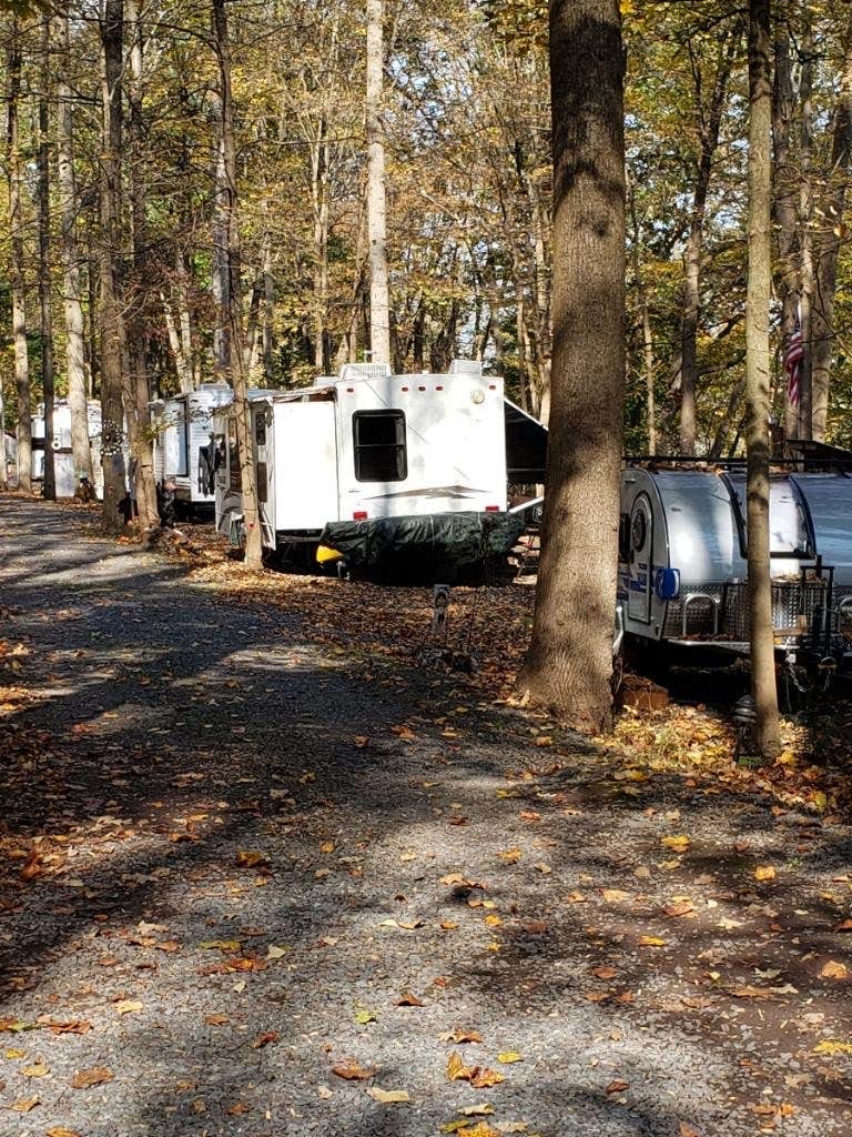 Unleash Your Inner Camper: Pennsylvania's Dogwood Haven Family Campground