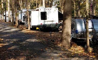 RobJenn ..'s photo of rv camping at Dogwood Haven Family Campground, LLC near Horsham, PA