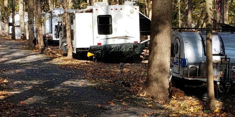 Camper submitted image from Dogwood Haven Family Campground, LLC