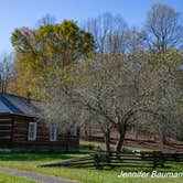 Review photo of Bulltown Camp — Burnsville Lake Wildlife Management Area by Jennifer B., October 19, 2020