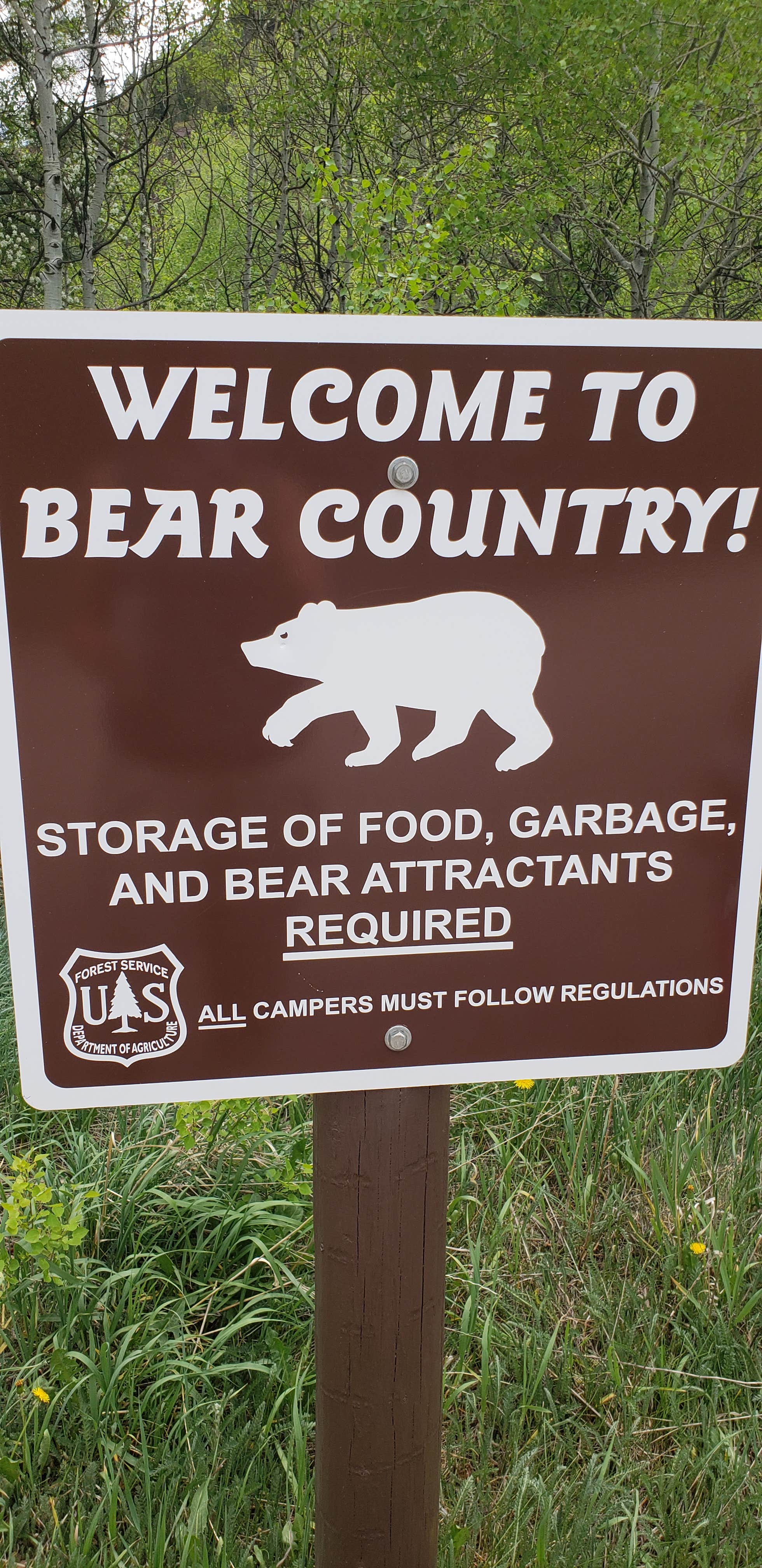 Camper submitted image from Redstone White River National Forest - 5
