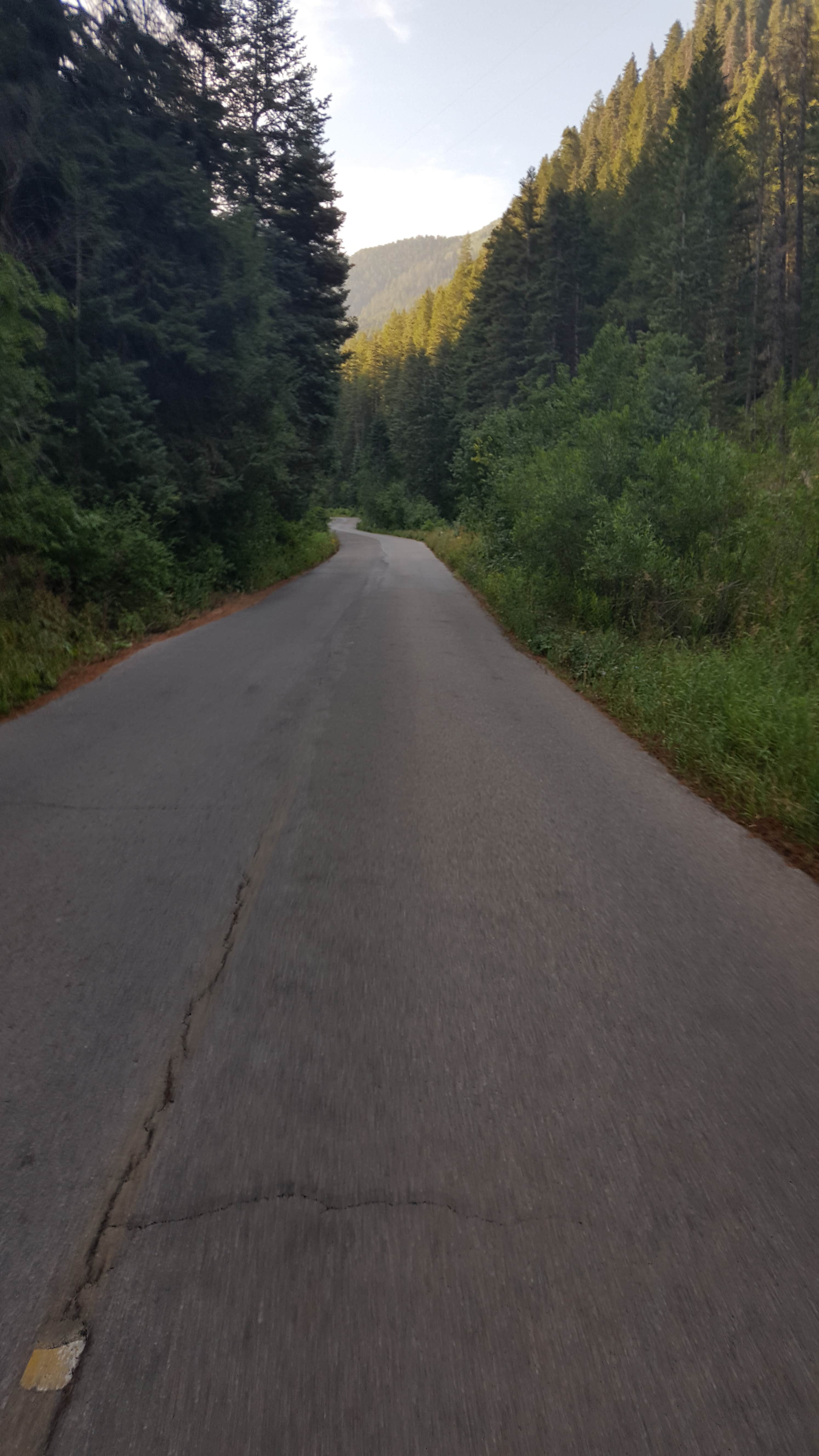 Camper submitted image from Millcreek Canyon Backcountry Camping and Yurts - 5