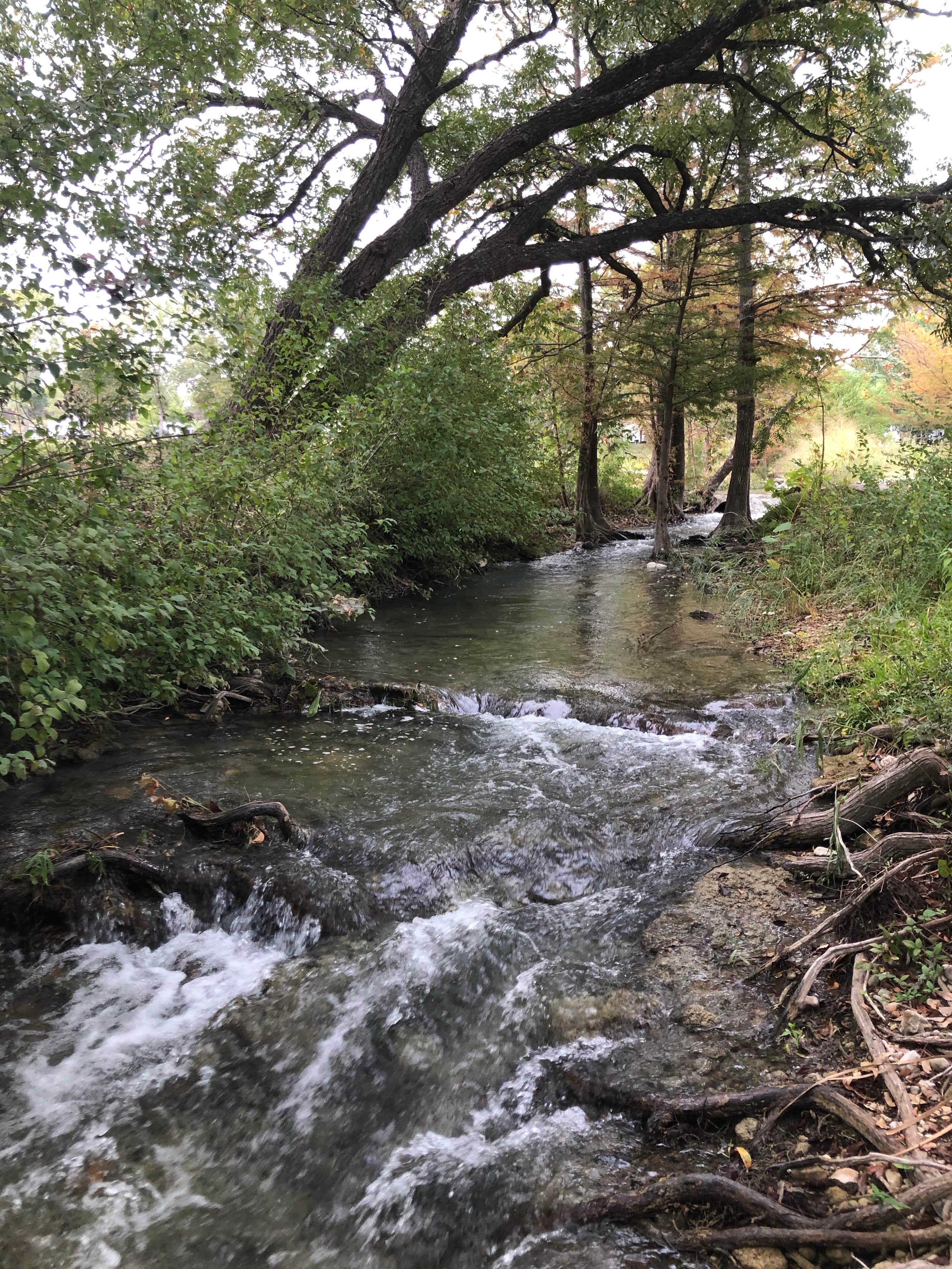 Camper-submitted photo at HTR TX Hill Country near Fredericksburg, TX