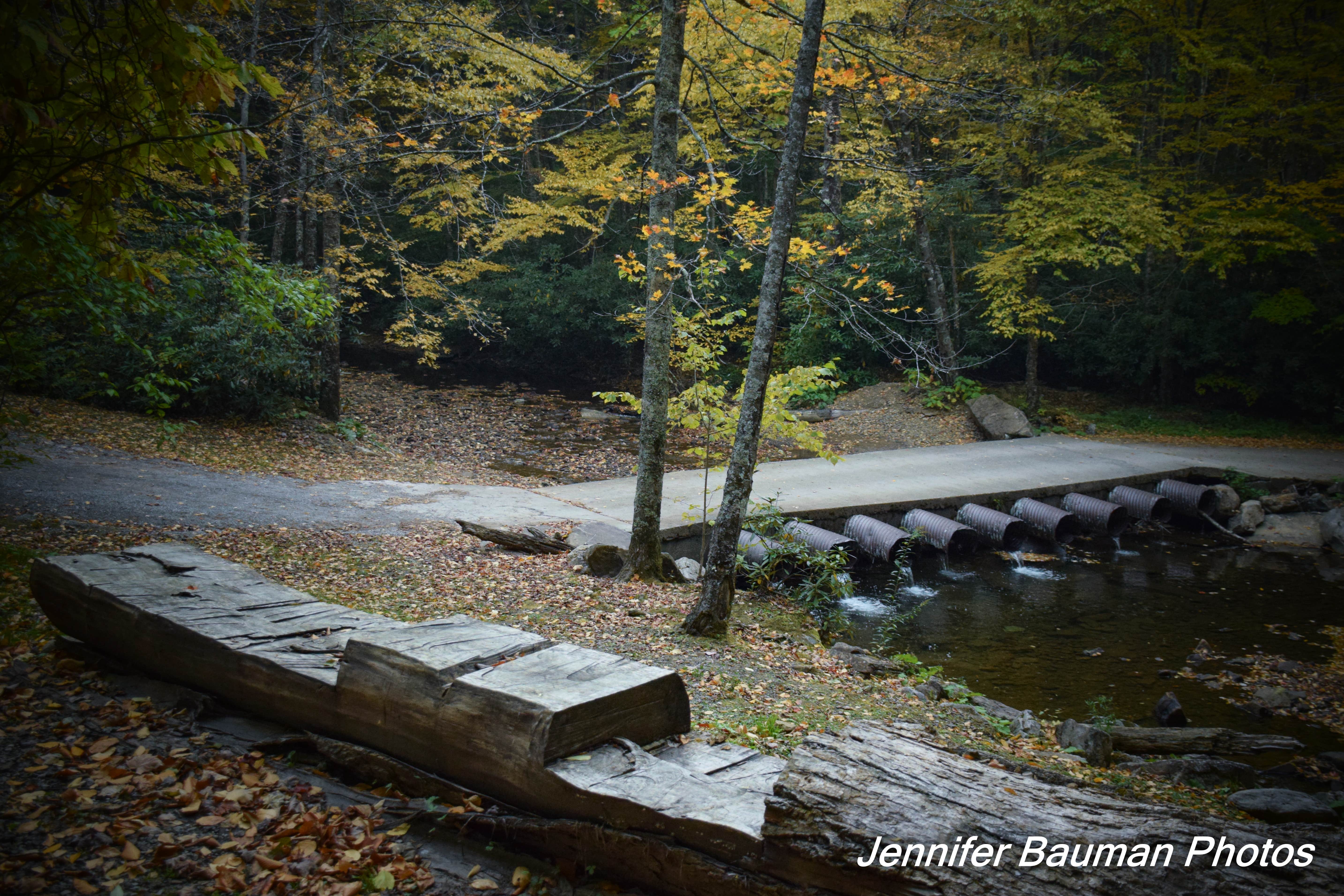 Camper submitted image from Kumbrabow State Forest - 1