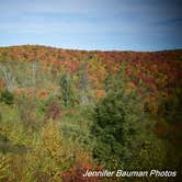 Review photo of Kumbrabow State Forest by Jennifer B., October 19, 2020