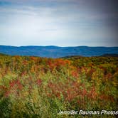 Review photo of Kumbrabow State Forest by Jennifer B., October 19, 2020