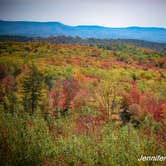 Review photo of Kumbrabow State Forest by Jennifer B., October 19, 2020